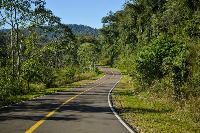 Quels enjeux pour la sécurité routière en 2019 ?