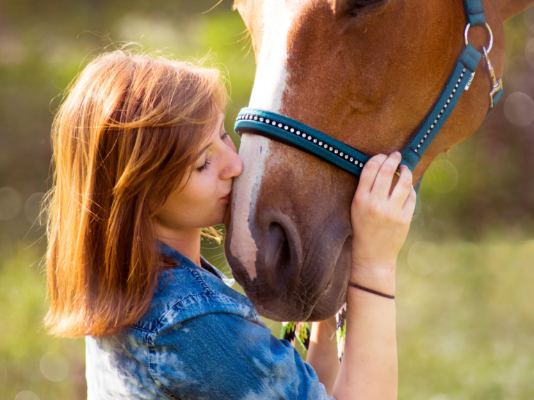 Comment prendre soin d’un animal ayant subi des traumatismes ?