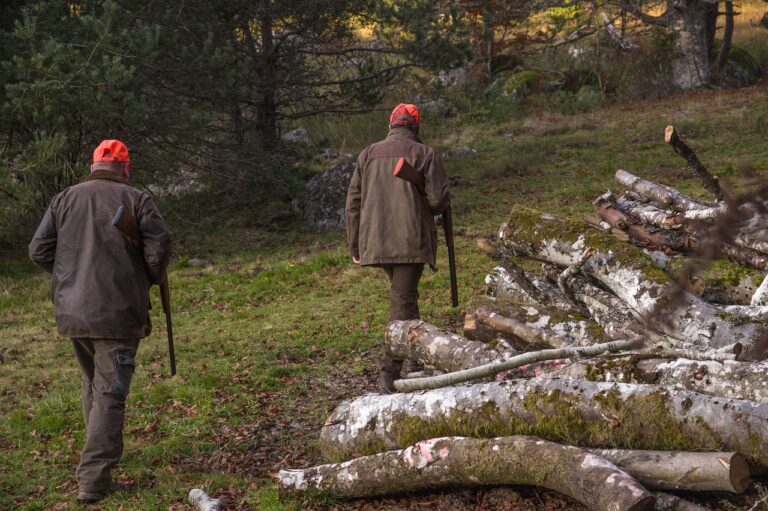 Pourquoi la chasse rencontre-t-elle un tel succès ?